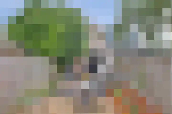 Derde kade 46 Gouda thumbnail 20