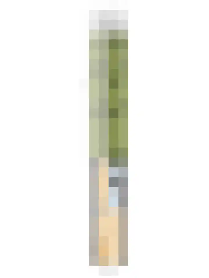 Derde kade 46 Gouda thumbnail 30