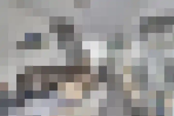 Derde kade 46 Gouda thumbnail 5