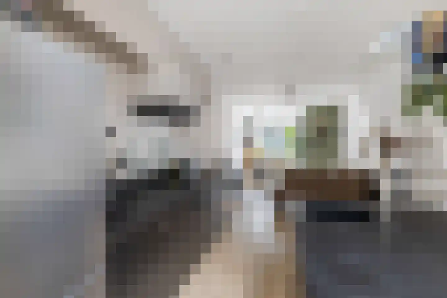 Derde kade 50 Gouda thumbnail 11