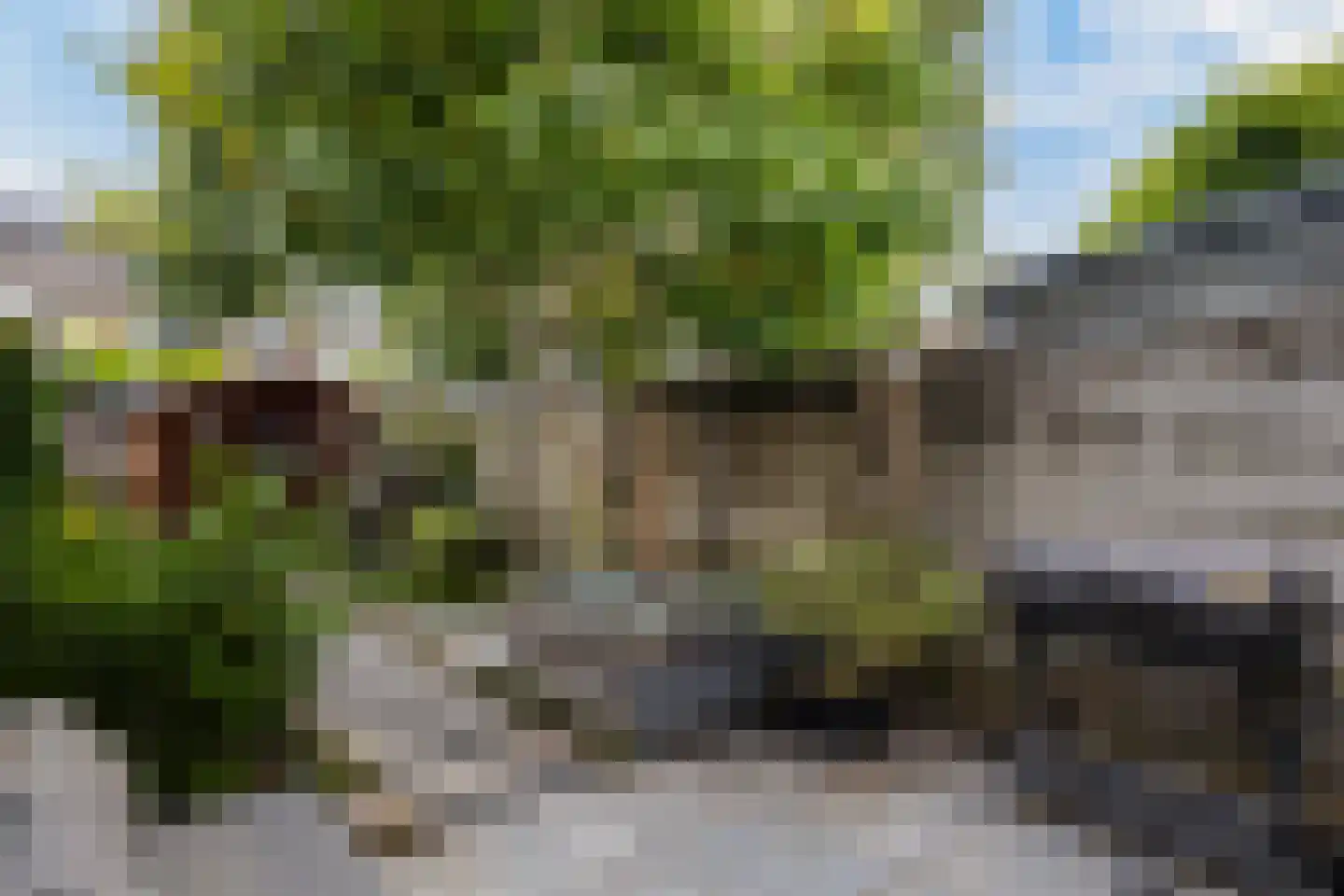 Derde kade 50 Gouda thumbnail 23