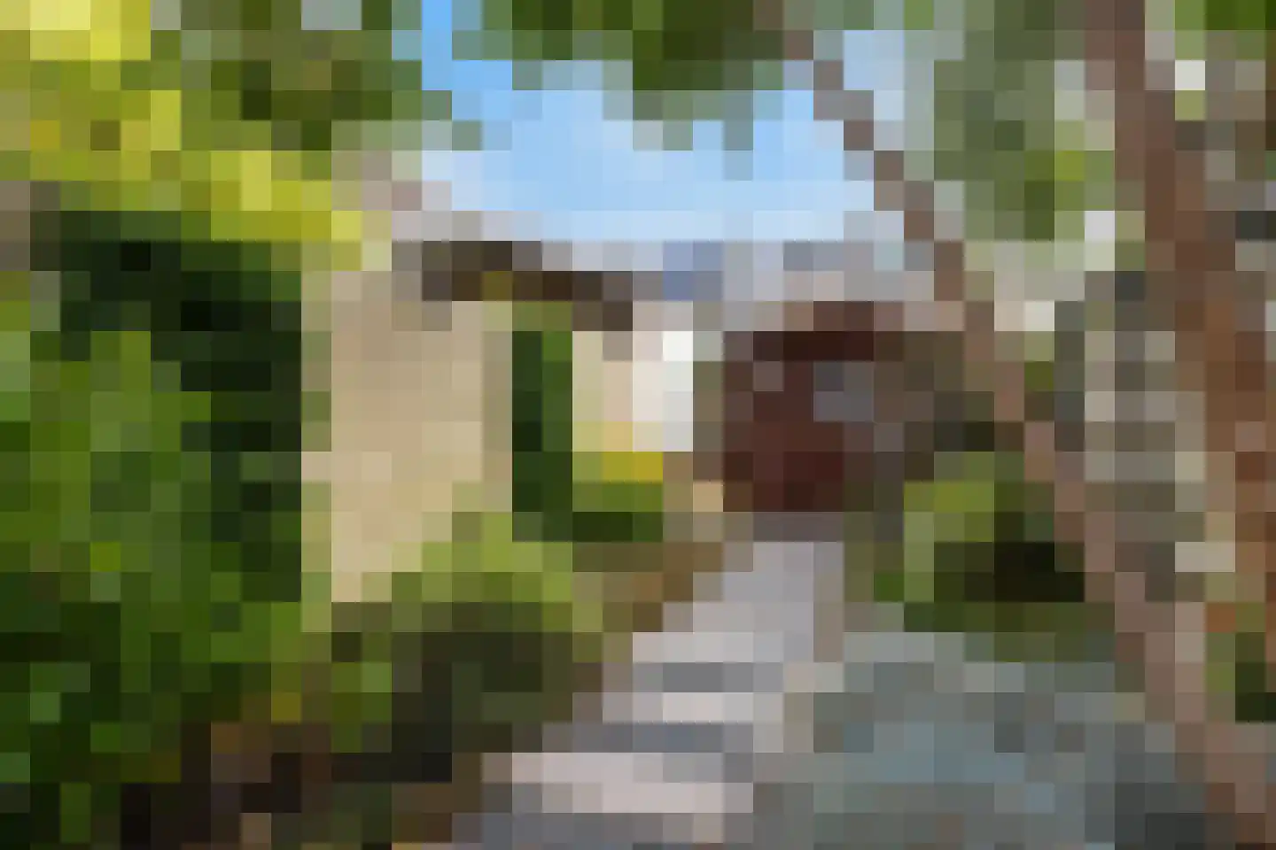 Derde kade 50 Gouda thumbnail 24