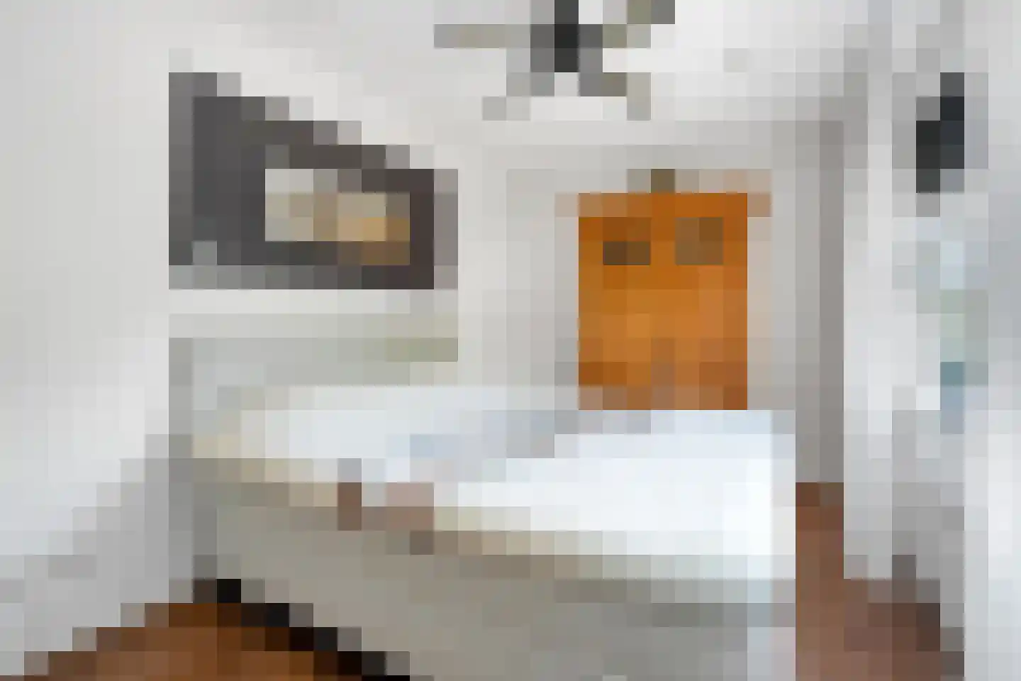 Derde Kampsweg 1 Nijverdal thumbnail 24