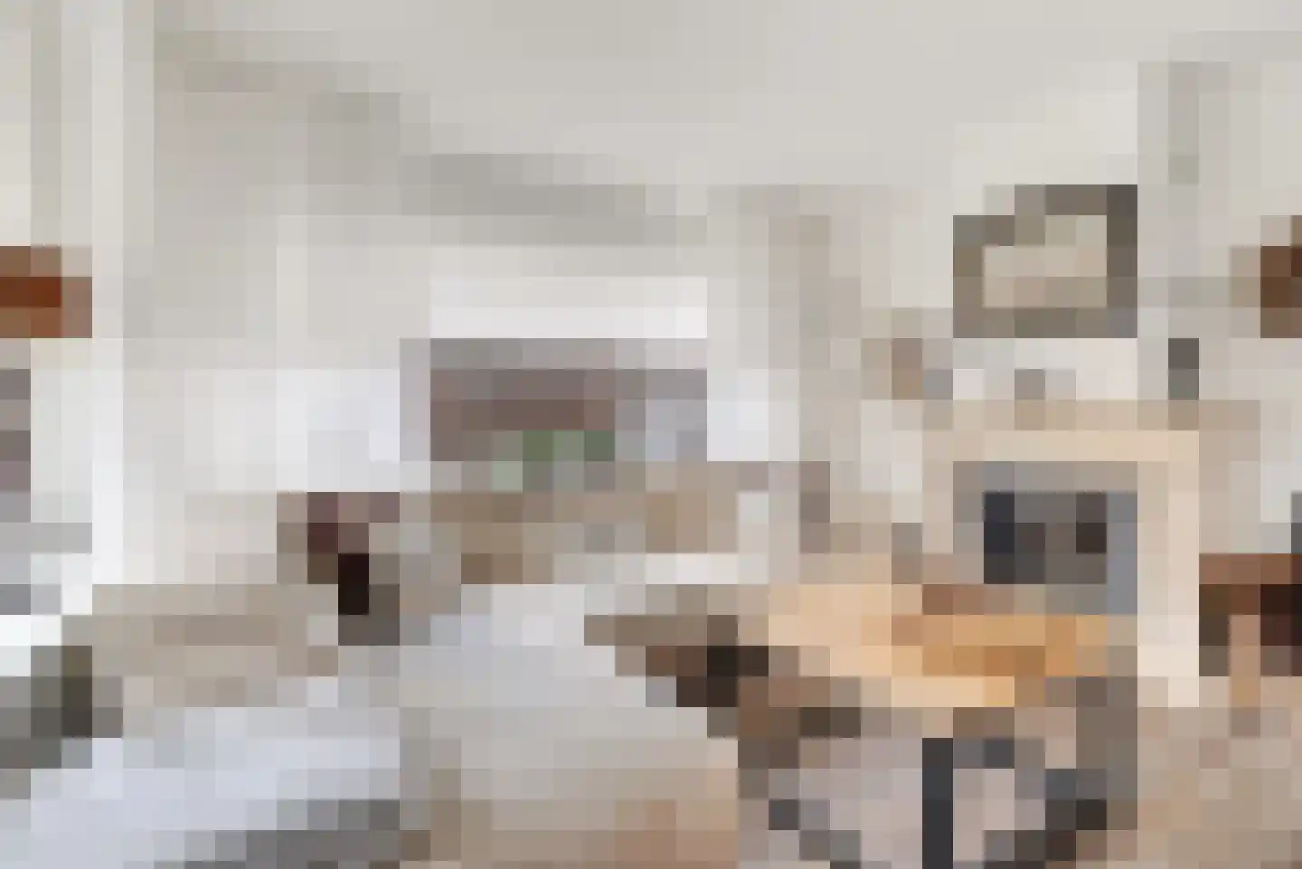 Derde Kampsweg 1 Nijverdal thumbnail 5