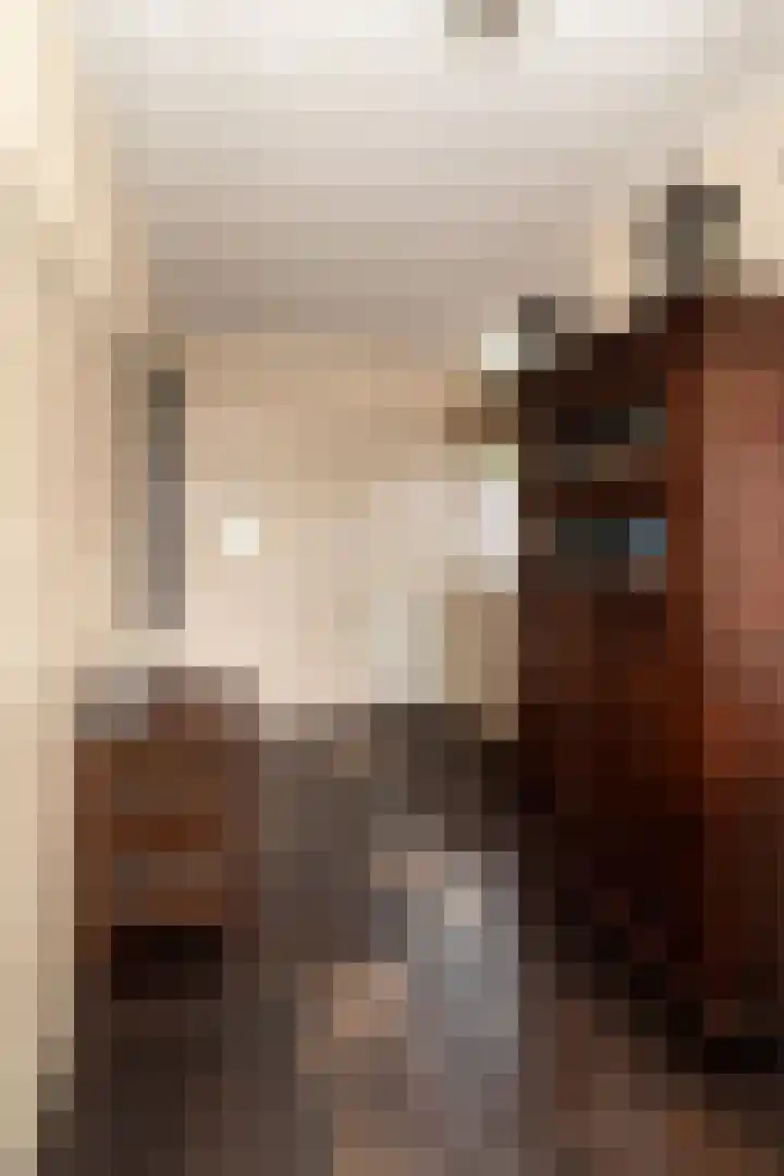 Derde Kampsweg 8 Nijverdal thumbnail 15