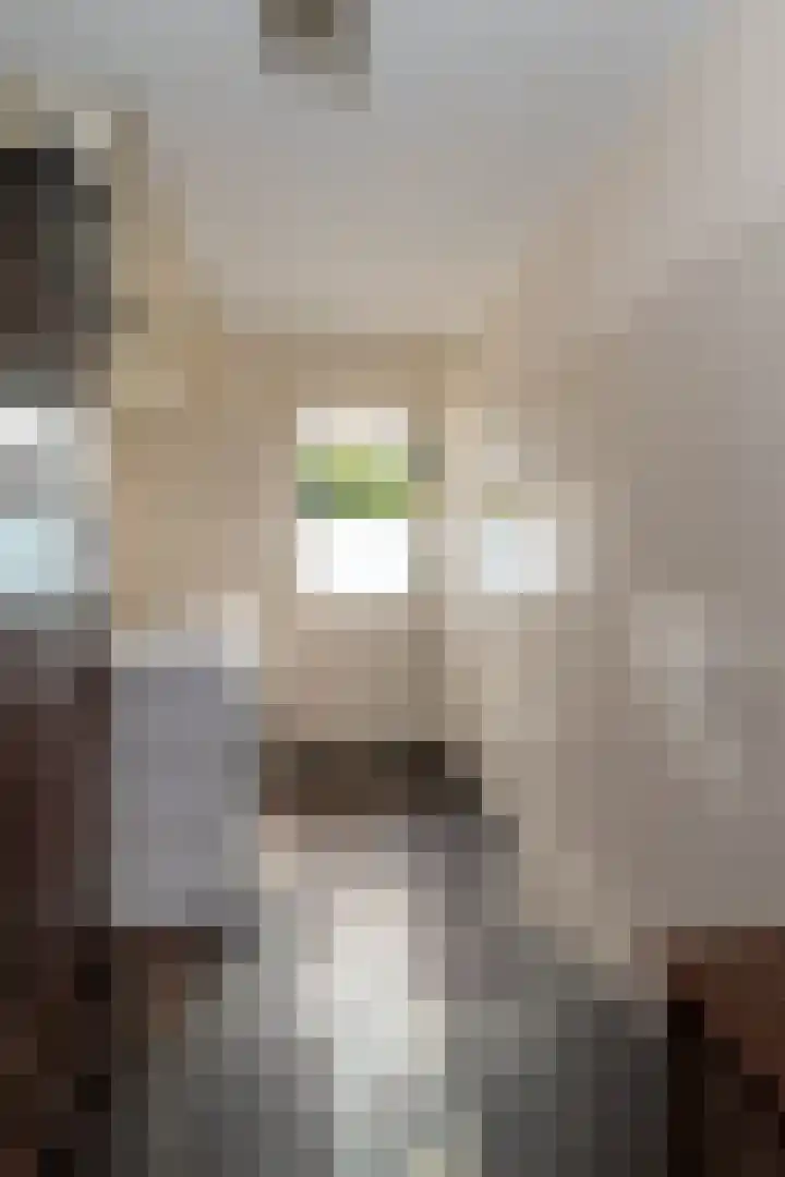 Derde Kampsweg 8 Nijverdal thumbnail 16