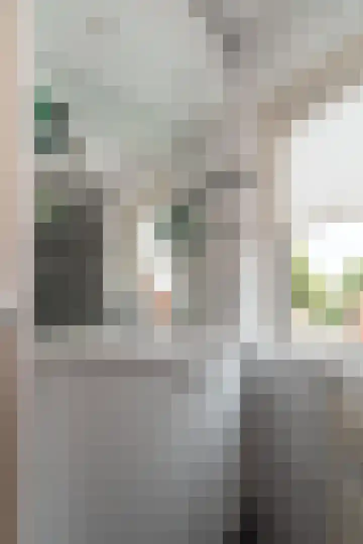 Derde Kampsweg 8 Nijverdal thumbnail 26