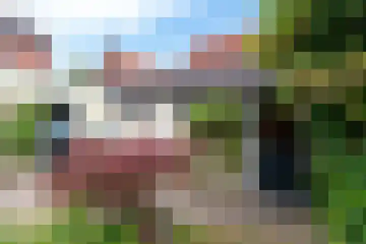 Derde Kampsweg 8 Nijverdal thumbnail 32