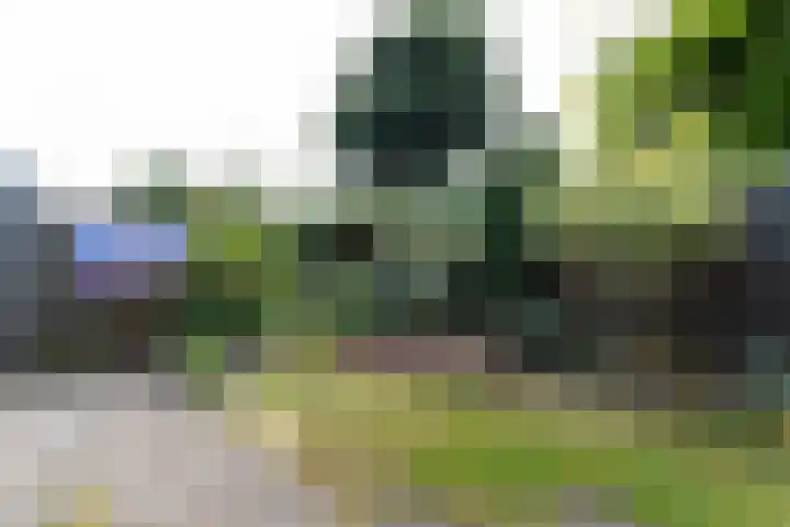 Derde Kampsweg 8 Nijverdal thumbnail 34