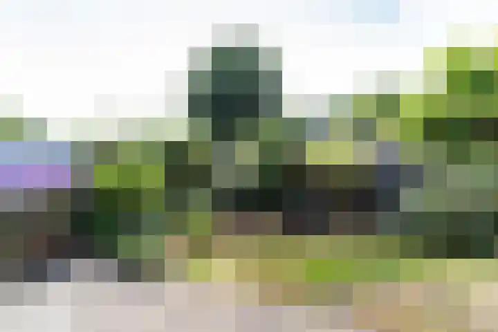 Derde Kampsweg 8 Nijverdal thumbnail 37
