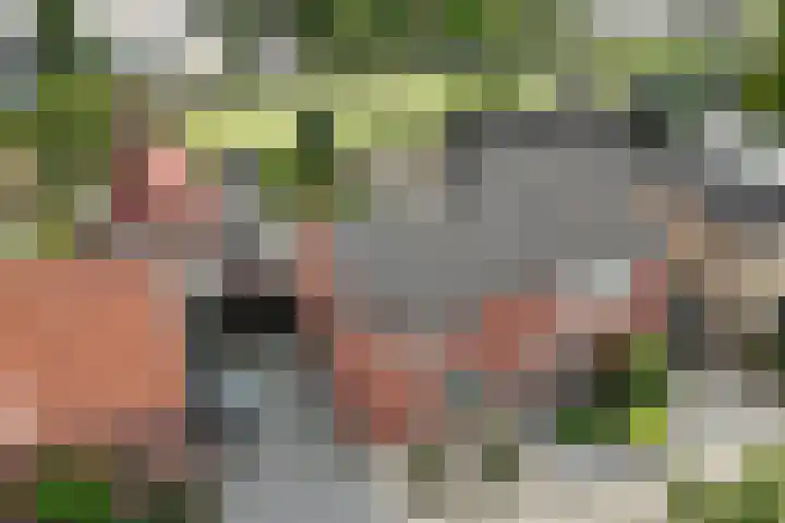 Derde Kampsweg 8 Nijverdal thumbnail 38