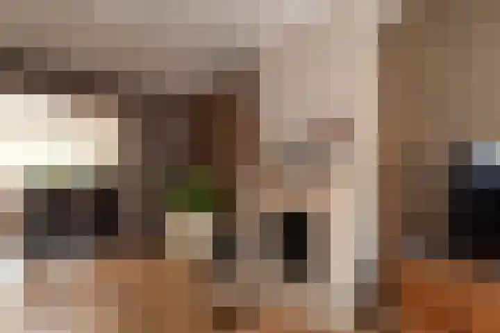 Derde Kampsweg 8 Nijverdal thumbnail 4