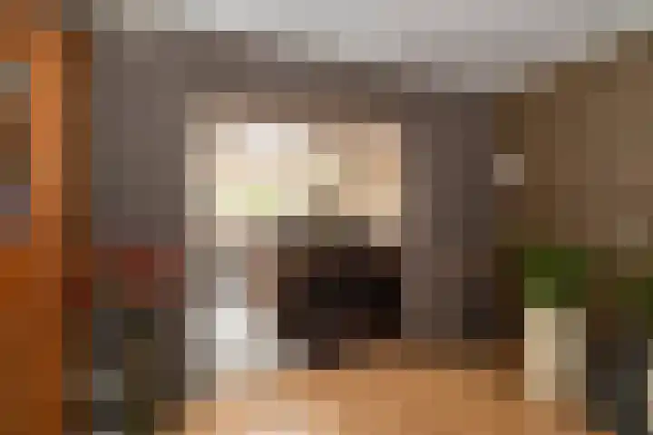 Derde Kampsweg 8 Nijverdal thumbnail 7
