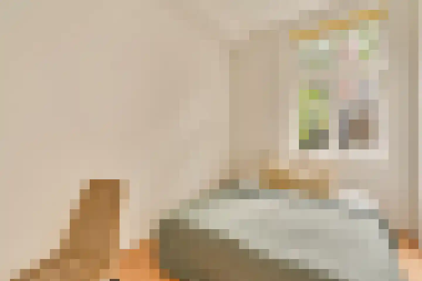 Derde Kostverlorenkade 21 H Amsterdam thumbnail 21