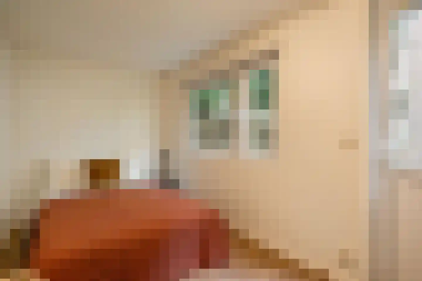 Derde Kostverlorenkade 21 H Amsterdam thumbnail 45