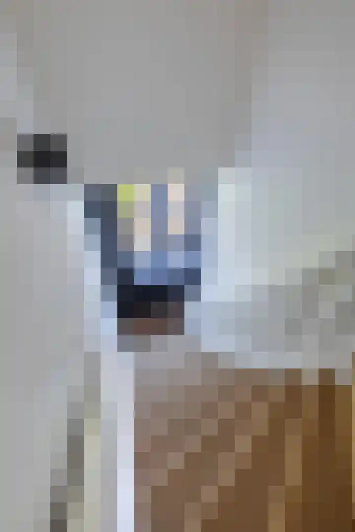 Derde Kostverlorenkade 30 3 Amsterdam thumbnail 18