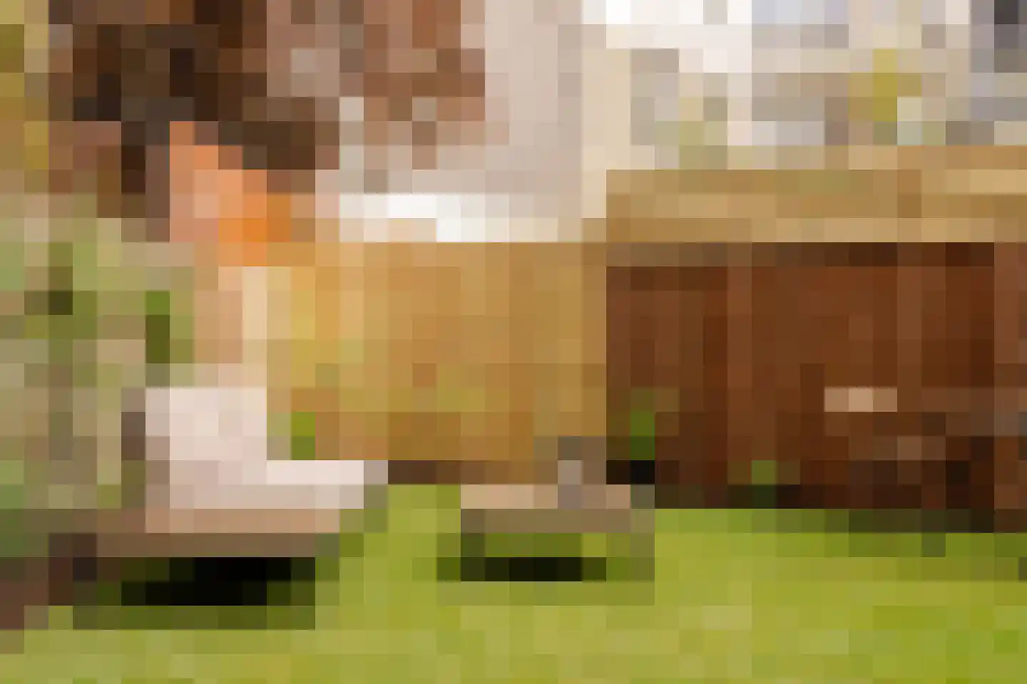 Derde Kostverlorenkade 39 1 Amsterdam thumbnail 20