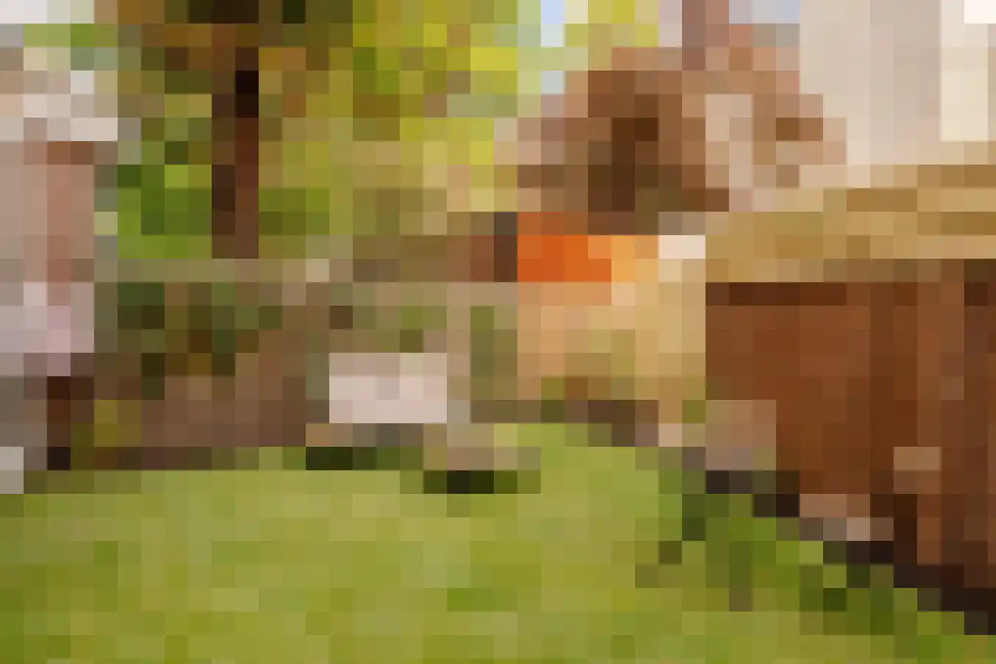 Derde Kostverlorenkade 39 1 Amsterdam thumbnail 21