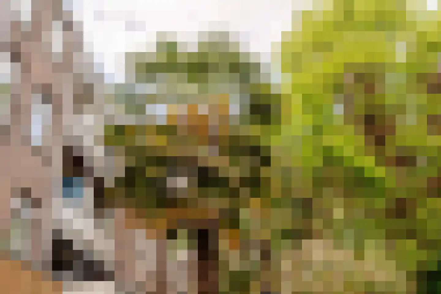 Derde Kostverlorenkade 39 1 Amsterdam thumbnail 22