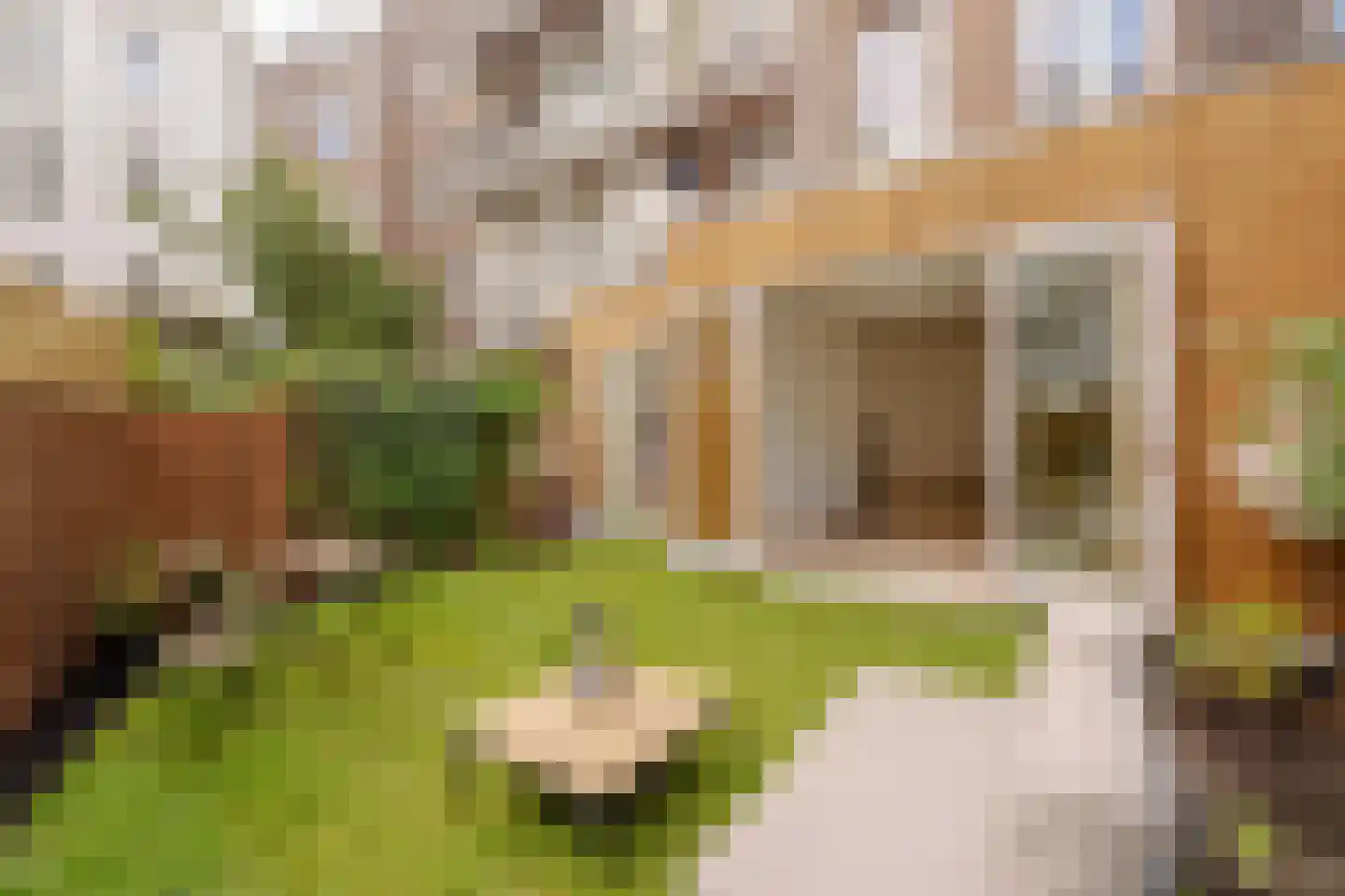 Derde Kostverlorenkade 39 1 Amsterdam thumbnail 4