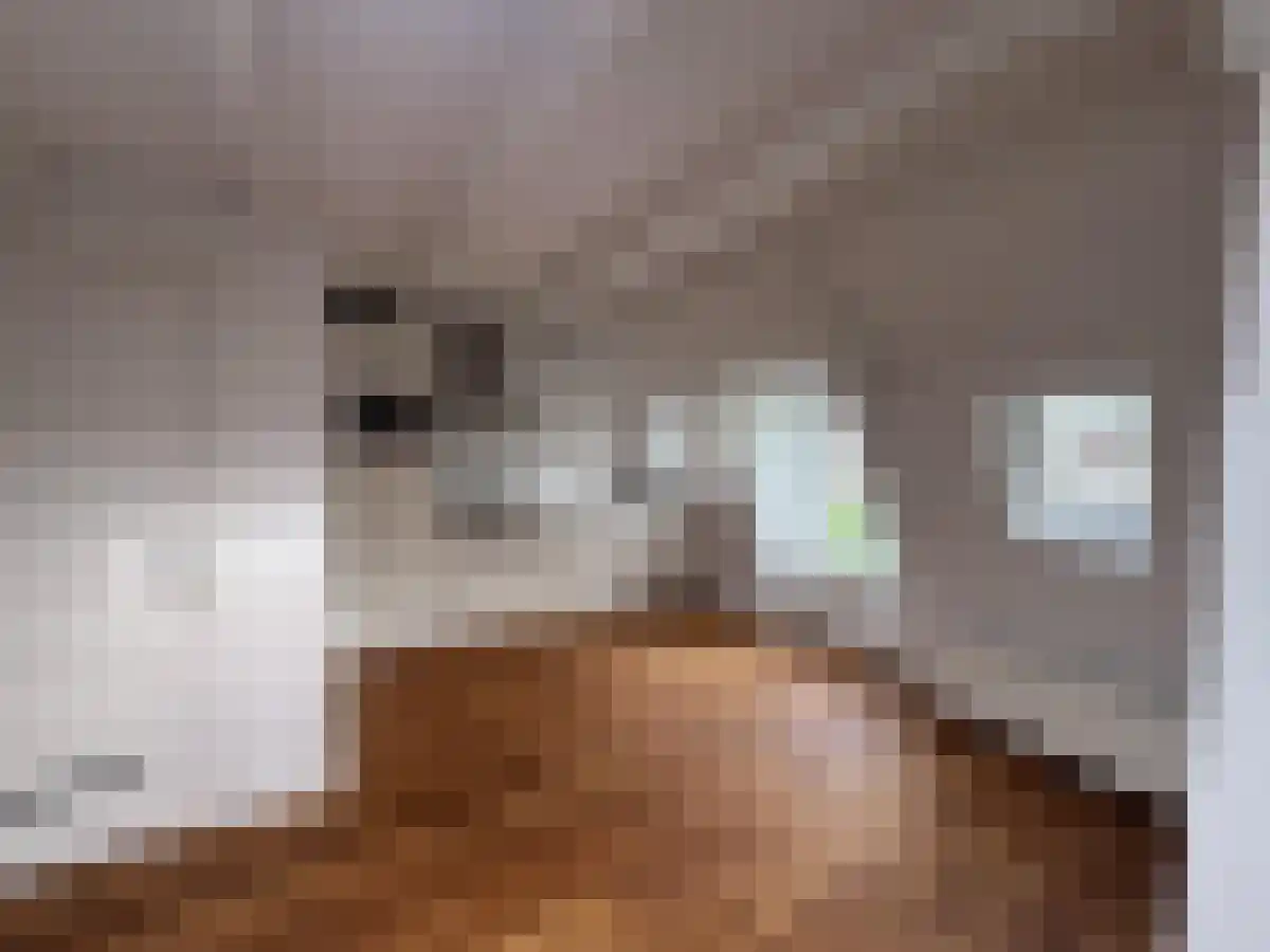 Derde Kostverlorenkade 42 4 Amsterdam thumbnail 4