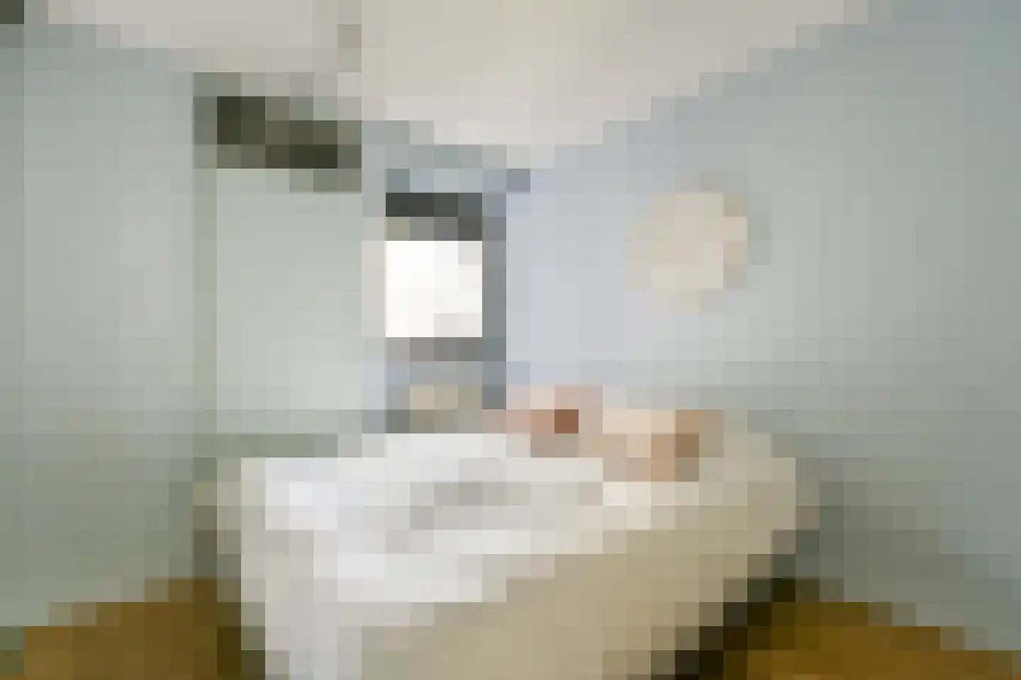 Derde Kostverlorenkade 5 L Amsterdam thumbnail 13