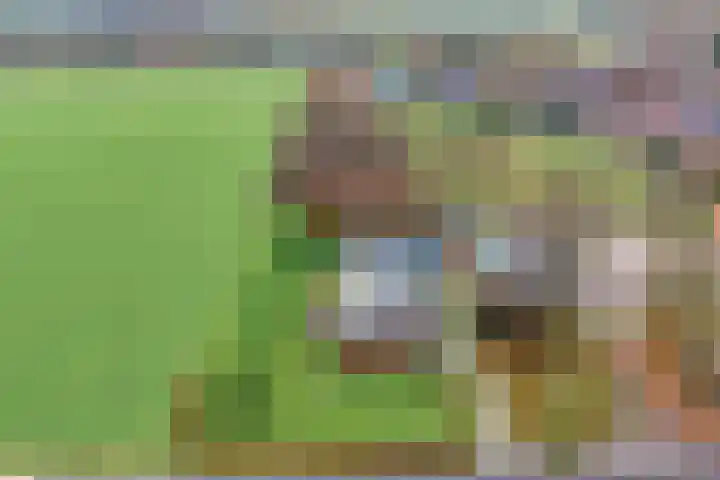 Derde Kruisdiep WZ 4 Nieuw-Weerdinge thumbnail 4