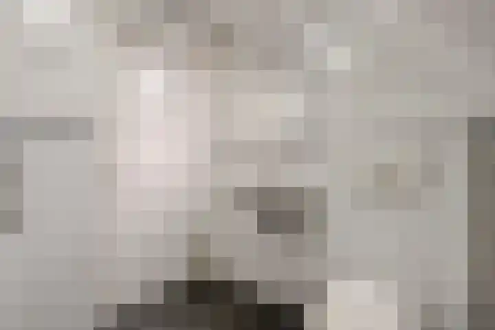 Derde Kruisdiep WZ 4 Nieuw-Weerdinge thumbnail 42