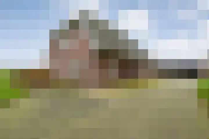 Derde Kruisdiep WZ 4 Nieuw-Weerdinge thumbnail 5
