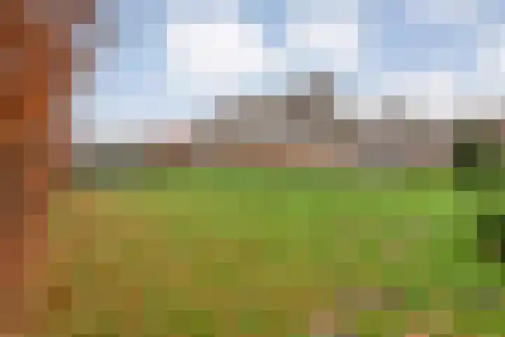 Derde Kruisdiep WZ 4 Nieuw-Weerdinge thumbnail 51