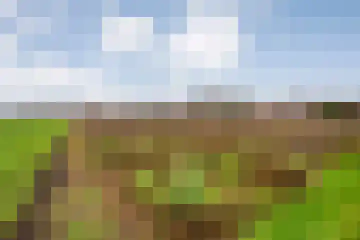 Derde Kruisdiep WZ 4 Nieuw-Weerdinge thumbnail 52