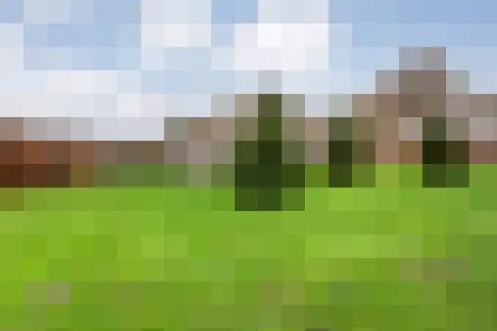Derde Kruisdiep WZ 4 Nieuw-Weerdinge thumbnail 53