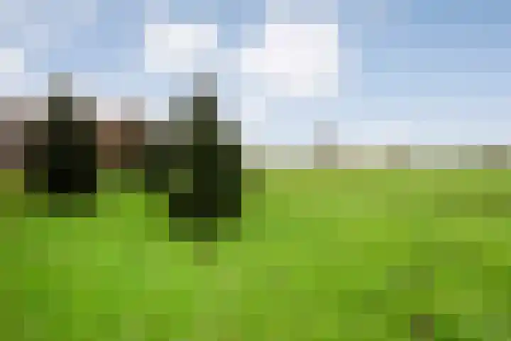 Derde Kruisdiep WZ 4 Nieuw-Weerdinge thumbnail 54