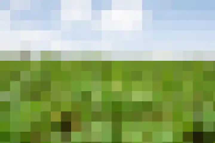 Derde Kruisdiep WZ 4 Nieuw-Weerdinge thumbnail 55
