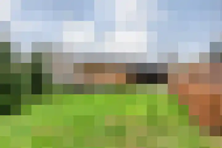 Derde Kruisdiep WZ 4 Nieuw-Weerdinge thumbnail 56
