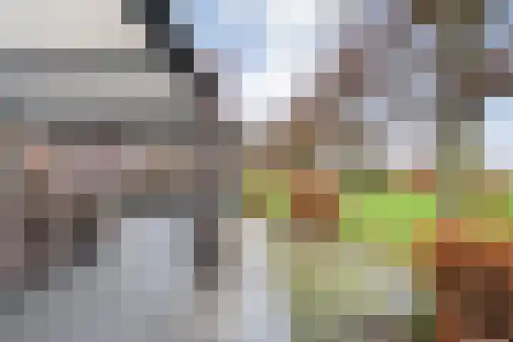 Derde Kruisdiep WZ 4 Nieuw-Weerdinge thumbnail 59