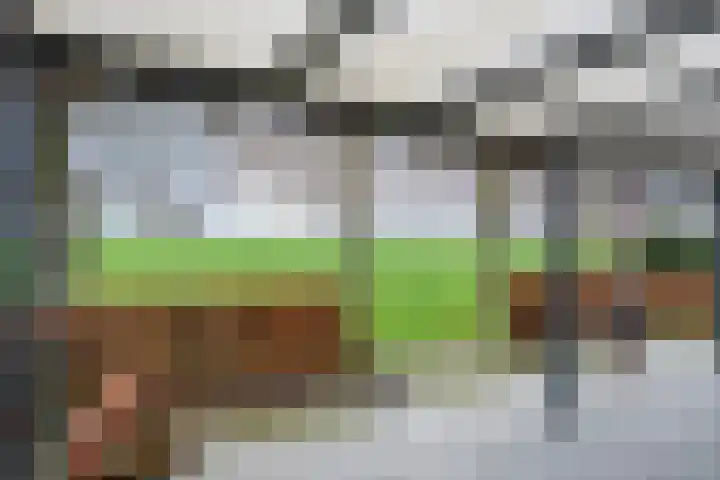 Derde Kruisdiep WZ 4 Nieuw-Weerdinge thumbnail 62