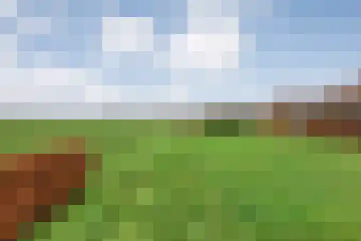 Derde Kruisdiep WZ 4 Nieuw-Weerdinge thumbnail 64