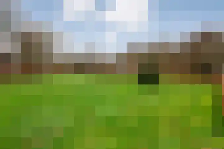 Derde Kruisdiep WZ 4 Nieuw-Weerdinge thumbnail 66