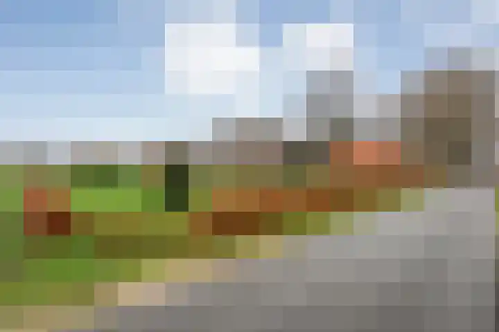 Derde Kruisdiep WZ 4 Nieuw-Weerdinge thumbnail 67
