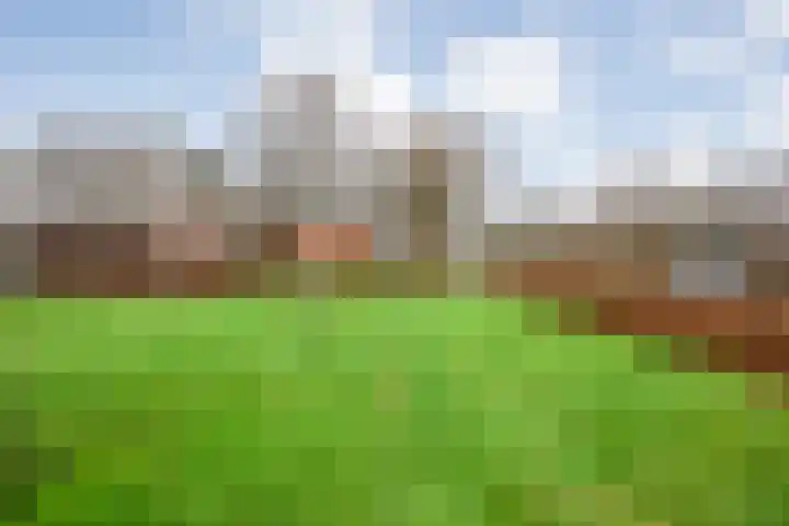 Derde Kruisdiep WZ 4 Nieuw-Weerdinge thumbnail 68