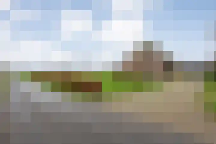 Derde Kruisdiep WZ 4 Nieuw-Weerdinge thumbnail 69