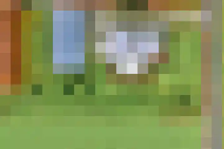 Derde Kruisdiep WZ 4 Nieuw-Weerdinge thumbnail 71