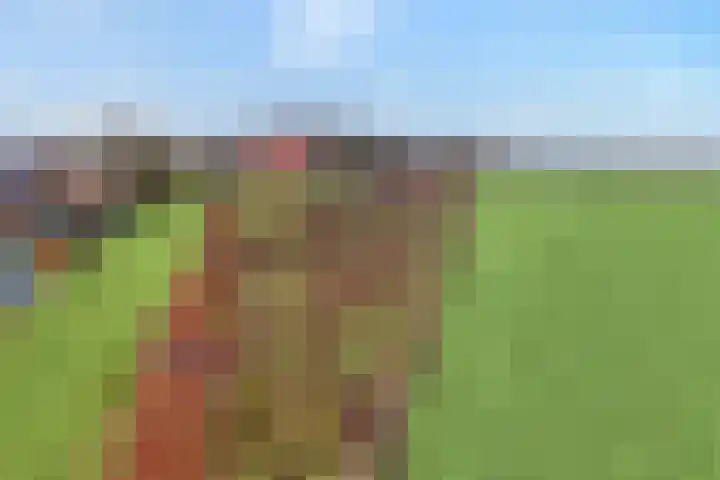 Derde Kruisdiep WZ 4 Nieuw-Weerdinge thumbnail 72