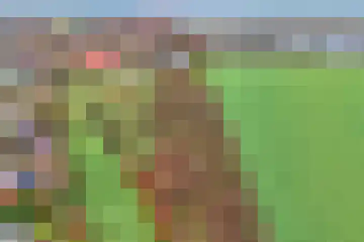 Derde Kruisdiep WZ 4 Nieuw-Weerdinge thumbnail 73