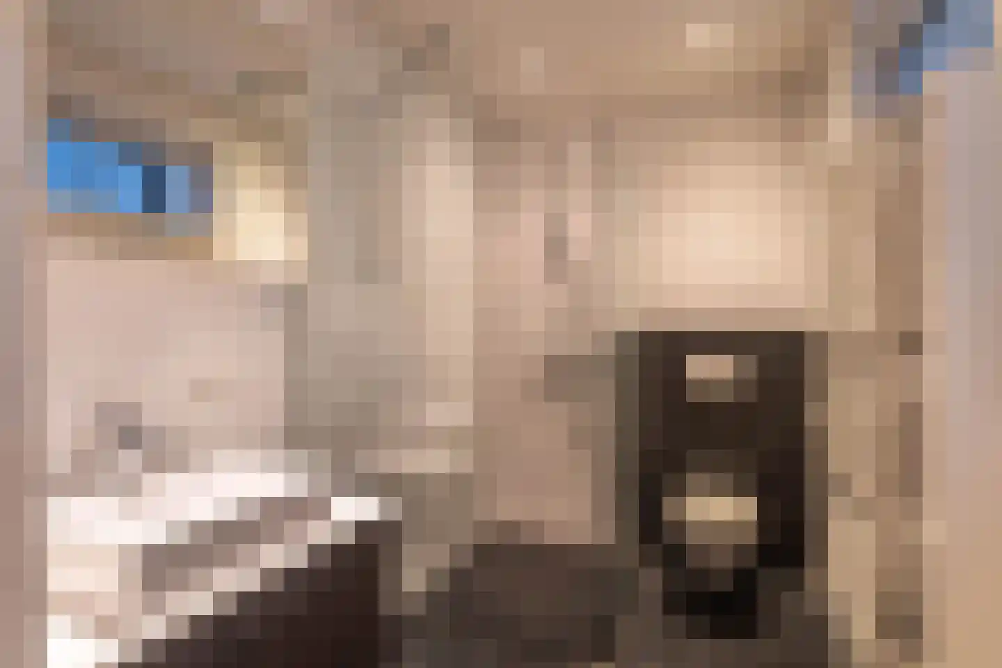 Derde Leliedwarsstraat 4 Amsterdam thumbnail 12