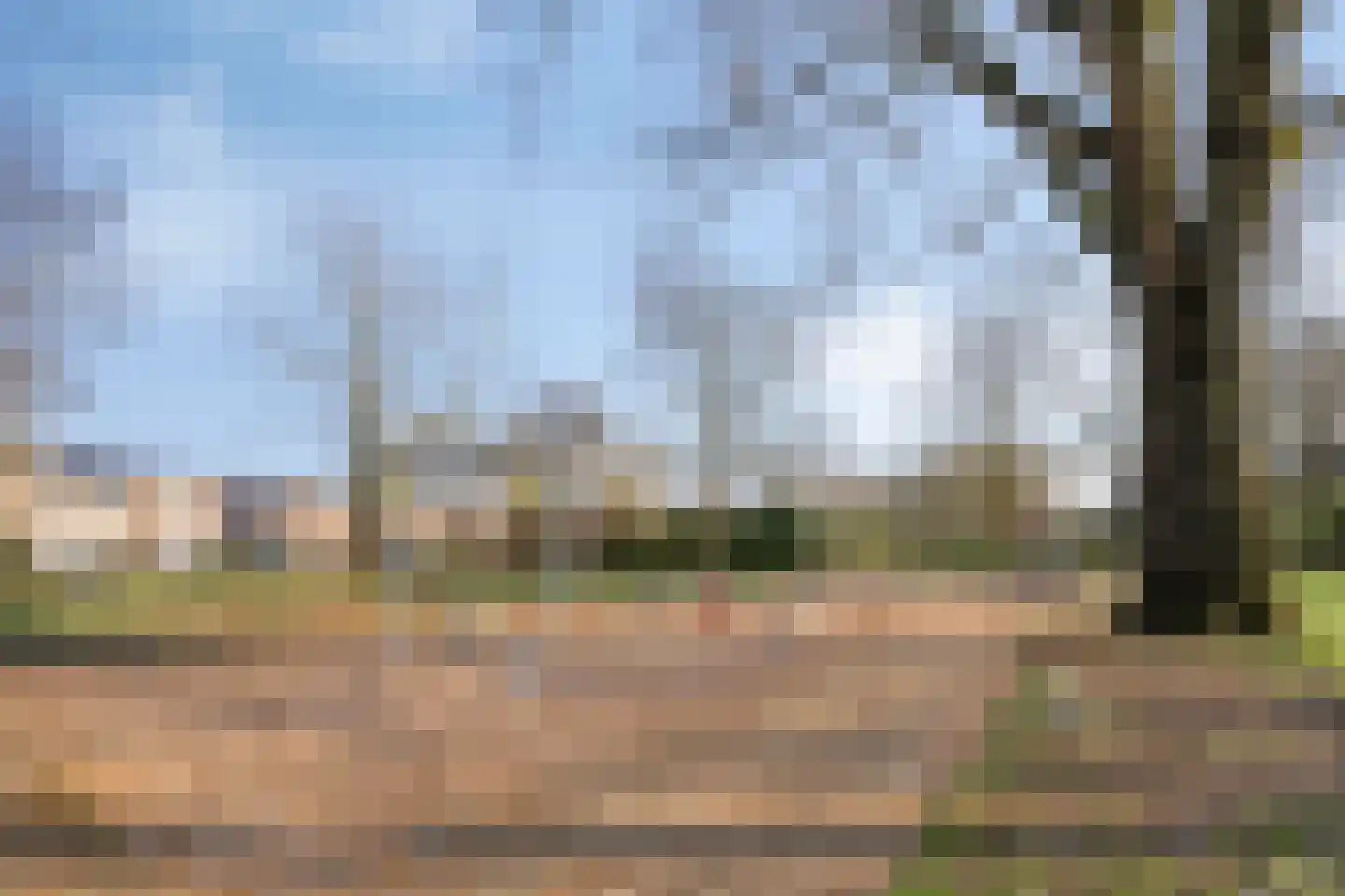 Derde Morgen 13 's-Hertogenbosch thumbnail 34