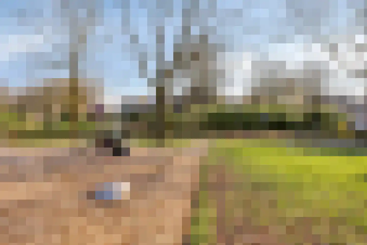 Derde Morgen 13 's-Hertogenbosch thumbnail 35