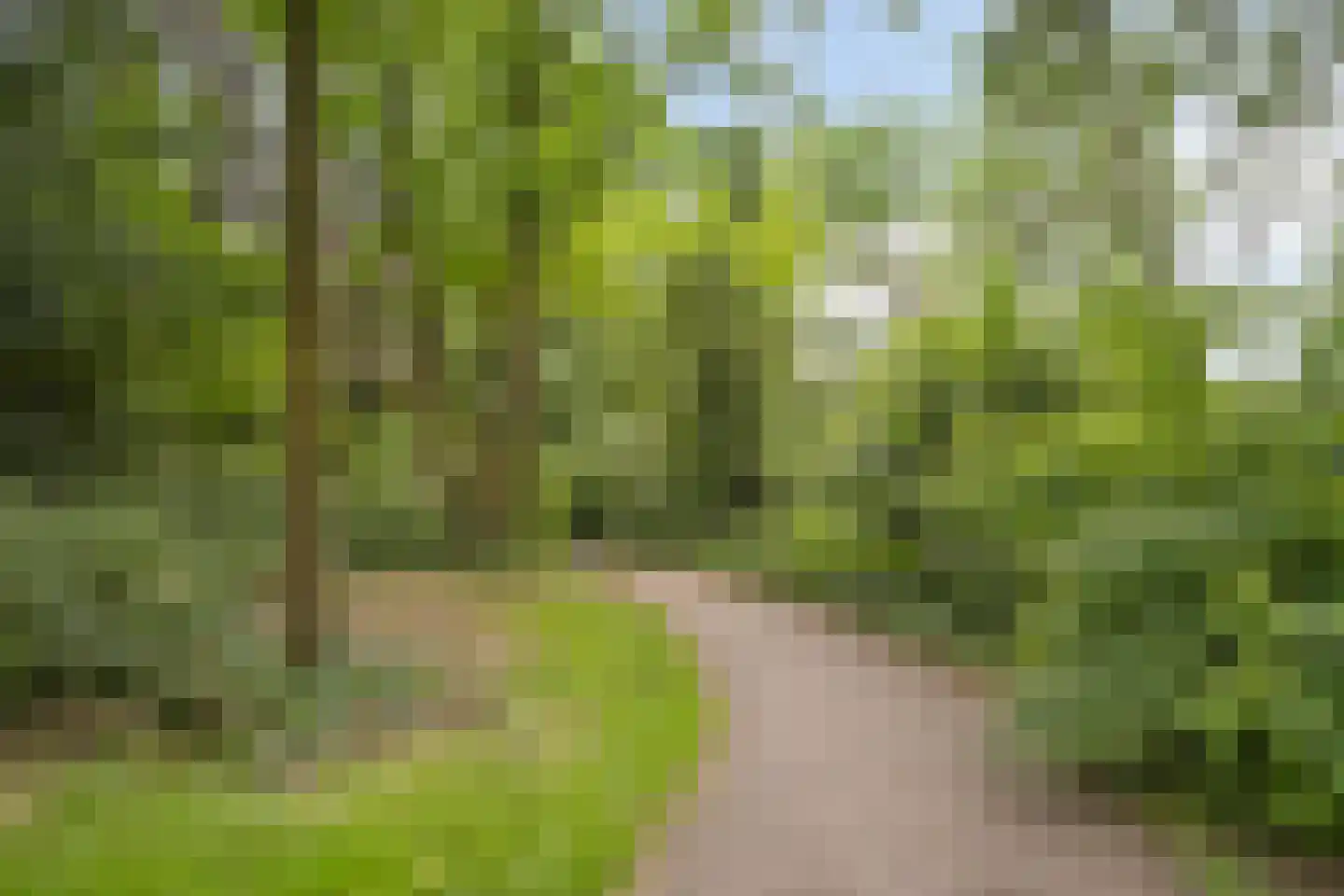 Derde Morgen 13 's-Hertogenbosch thumbnail 36