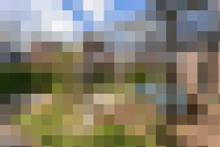 Derde Oosterparklaan 34 Utrecht thumbnail 42